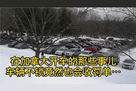 说说在加拿大开车的那些事儿，车门不锁竟然也会收罚单…视频封面
