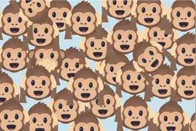 你用了几秒找出了不一样的猴子表情包视频封面