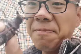 300多一斤的山水牛，你们吃过这个吗？农村这个时候下雨就有视频封面