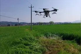 小伙创业花50000买大疆T16植保无人机，一天能喷洒400多亩农田视频封面