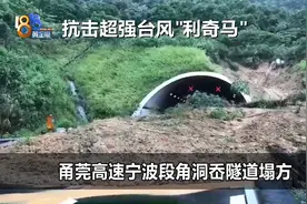 #抗击台风利奇马#甬莞高速台州方向宁波段角洞岙隧道出口发生塌方视频封面