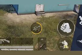 和平精英：这标怎么回事？有标用不了？