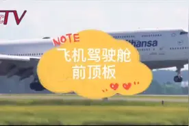 飞行员教你开飞机：飞机驾驶舱里的前顶板到底有啥用？按钮太多了