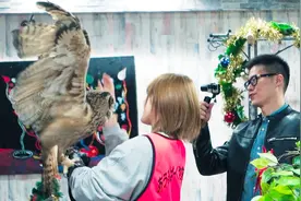 东京探店教您如何“盘‘猫头鹰！简单示范如何让食肉猛禽变萌宠！视频封面