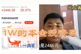 1万元买基金收益2446元，2021年基金已选好，目标利润30%能实现吗视频封面
