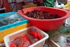 上海基围虾大降价，到底降到多少钱一斤，大家都觉得比吃猪肉划算视频封面