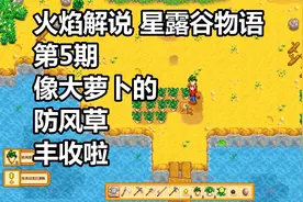 火焰解说 星露谷物语 第5期 像大萝卜的防风草丰收啦