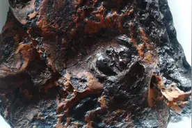 从海边捡了一些有趣的石头，不知道有没有收藏价值，大家帮我看看视频封面