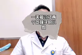 宠物医生一天接诊两例小狗吃袜子，看他如何巧妙操作小狗不开刀