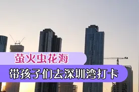 萤火虫花海，带海子们去深圳湾打卡视频封面