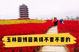 游玉林园博园，饱览五彩玉林、八桂画卷