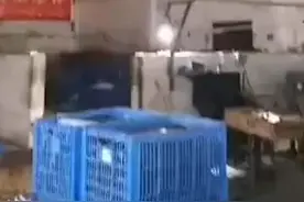 突发！江门市民突然听到一声巨响，天花板被震落、镜子震碎一片视频封面