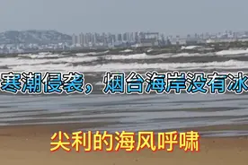 极地寒潮来临烟台，三天大雪，濒临渤海湾烟台海域结冰了吗？