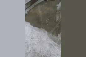 重庆长寿富丽桃圆小区化粪池，粪水流入居民住宅区，谁来管？视频封面