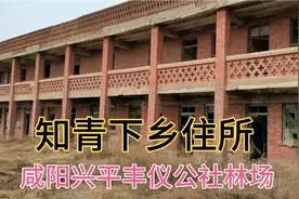 咸阳兴平丰仪公社林场，50年预制板式知青下乡住所#本地达人计划#视频封面