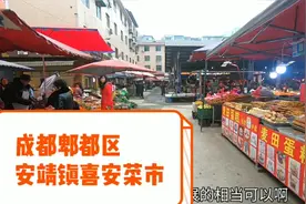 实拍成都郫都区安靖镇喜安菜市，为啥子这里什么都有卖的勒？视频封面