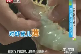 哪个品种的虾最适合做油焖大虾，要注意了，你平时吃的是这种吗