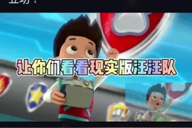 带你们去看一下现实版的汪汪队视频封面