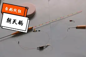 朝天钩在台钓线组中使用，效果不错，分享一下
