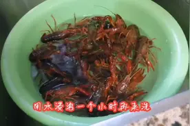 小龙虾不清洗干净等于吃垃圾，教你一招，一分钟去除头部和虾线视频封面