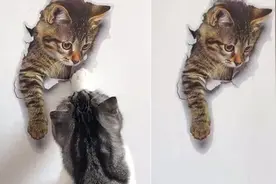 主人为了逗猫，就在墙上画了一幅画，结果猫咪瞬间不淡定了！视频封面