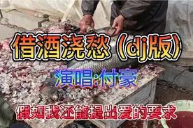 网络红歌 付豪《借酒浇愁》dJ版