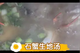 石头蟹这样做的汤，鲜美甘甜，孩子连喝三碗
