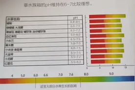 如何准确测量水族箱PH值？草缸适合的PH值是多少？请看这里。