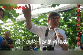 白教授详解阳光玫瑰气灼原理视频封面