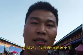 货车司机回老家不想放空车自己从产地拉一车芒果到批发市场售卖视频封面