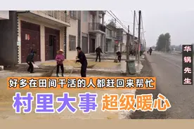 湖北潜江突降大雨晒场稻谷被淋，六神无主时，全村老少都赶来帮忙视频封面