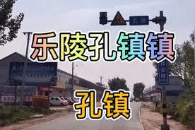 山东乐陵的乡村，马颊河岸边的一个乡镇：乐陵孔镇视频封面