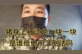 猪丹毒的表现症状，最有效的治疗药物，和怎样去预防？视频封面