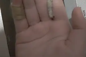 放学发现文具店有卖蚕宝宝的，买了4只，2元💰视频封面