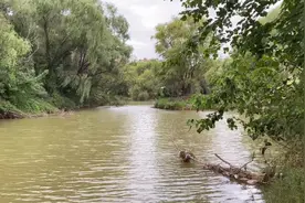 这是个免门票的灞桥生态湿地公园、你见过这么超大叶的荷叶吗？