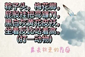 谜语：粽子头，梅花脚，
屁股挂把弯镰刀，
黑白灰黄花皮袄