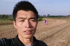 春耕过后地上插满了小旗帜，小旗帜有什么作用，这些好处你知道吗