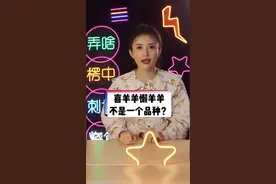 喜羊羊懒羊羊，是一个品种的羊吗？  #人间奇趣记录仪 #囧闻联播