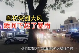 实拍：2020年6月1日、廊坊突然变天，顷刻之间刮大风下暴雨视频封面