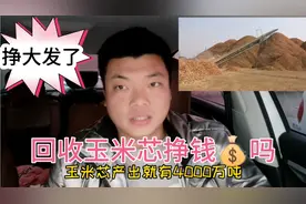看到农村收玉米芯的，总想知道挣钱吗，怎么挣得，都用来干嘛，视频封面
