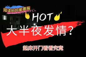 半夜12点听到恐怖的声音，紫蔷薇吓得叫醒儿子，看看怎么回事？视频封面