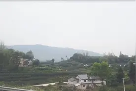 重庆到永川走九永高速，一路美景，山很青，树很绿，野花正开视频封面