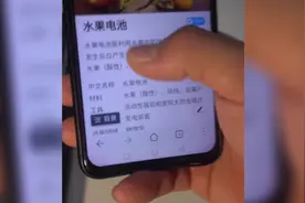 水果电池可以试试视频封面