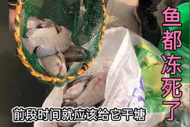 广东60年来最冷的冬天，田妹家鱼塘的鱼都冻死了，她的反应绝了