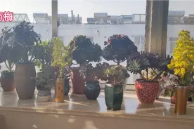 法师到底多长时间才能服盆？九个月还没服盆的法师你们见过吗？视频封面