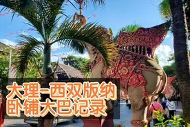 旅途记录-大理到西双版纳景洪的卧铺大巴，路况多变复杂视频封面