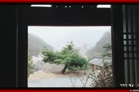 回顾韩国老歌大联唱~흘러간세월 돌이켜보는 음악...👍