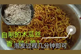 嫂子网购了一斤木瓜干，自制酱木瓜丝，香！辣！脆！好吃停不来…视频封面