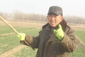 真实采访：为啥农村人的收入越来越低？听听70岁大爷咋说的视频封面