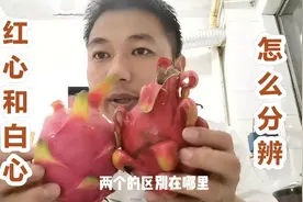 红心与白心火龙果怎么区分？看完视频小伙伴们再也不用担心被骗了视频封面